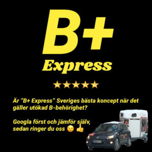 bild b+